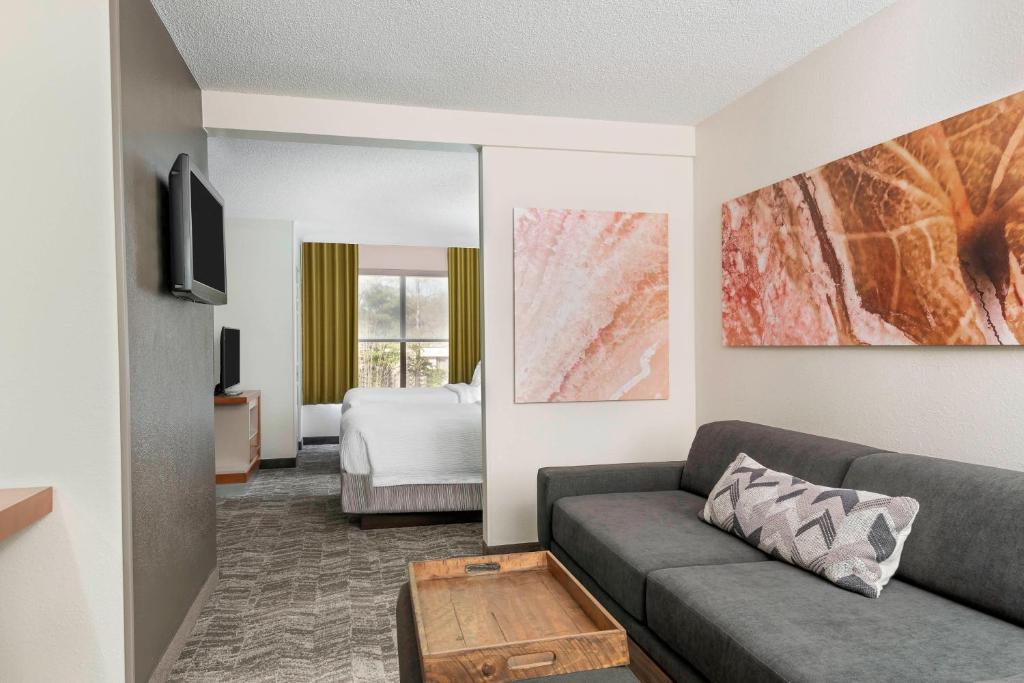 SpringHill Suites Asheville - Double Room With Two Double Beds With Sofa Bed
