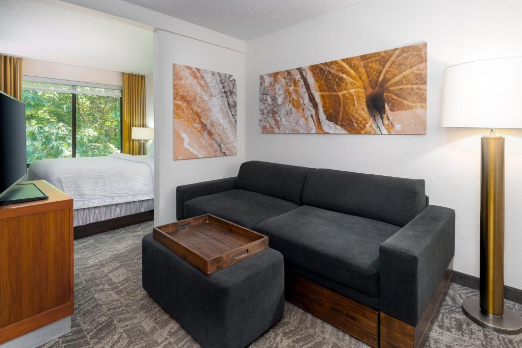 a living room with a couch and a bed at SpringHill Suites Asheville in Asheville