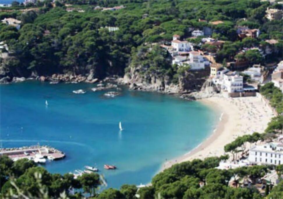 a view of a beach with boats in the water at Apartamentos Clipper Llafranc Costa Brava in Llafranc