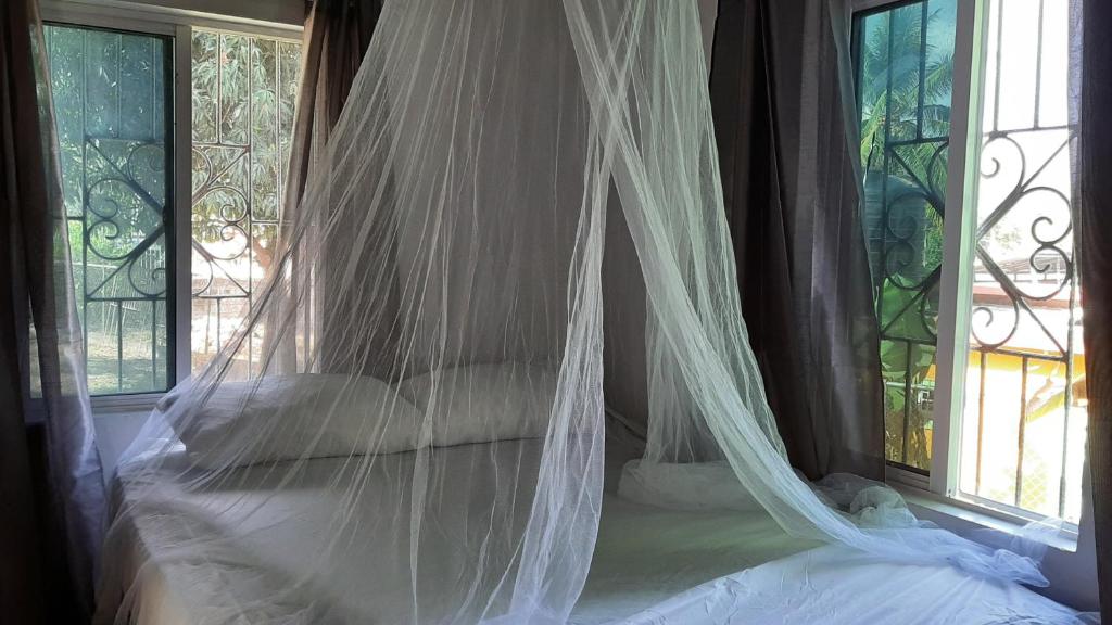 a bed with a mosquito net in a room with windows at Quiet Cottage in Residential Area in Montego Bay
