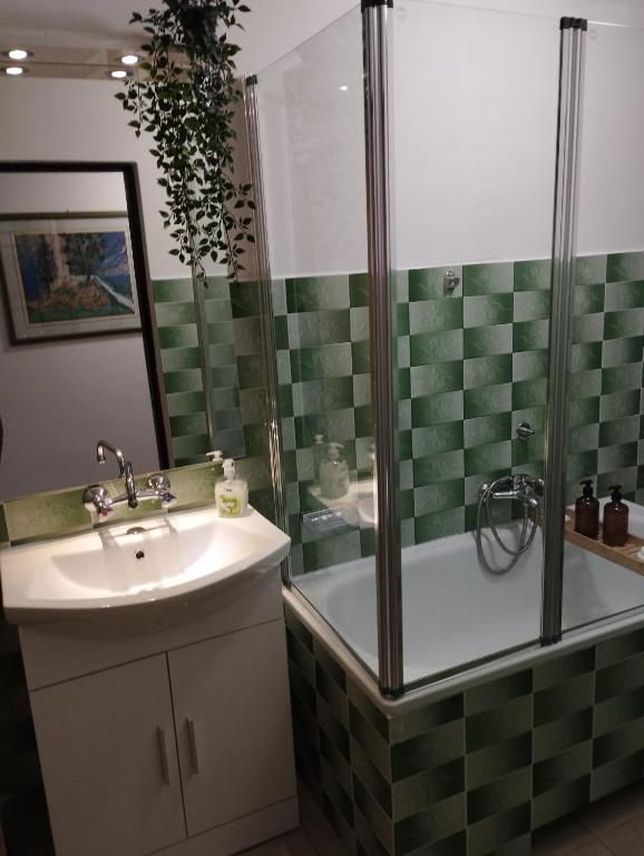Koupelna v ubytování Apartmani Gruzdovo