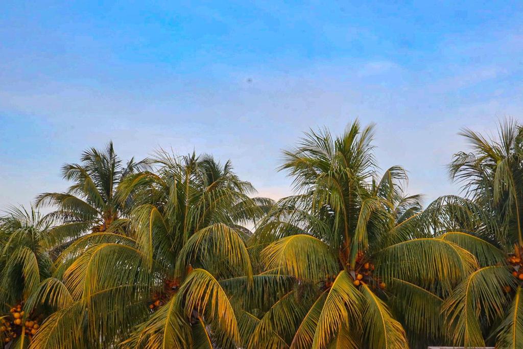 Fotografie z fotogalerie ubytování Casa Arrayan Telchac v destinaci Telchac Puerto