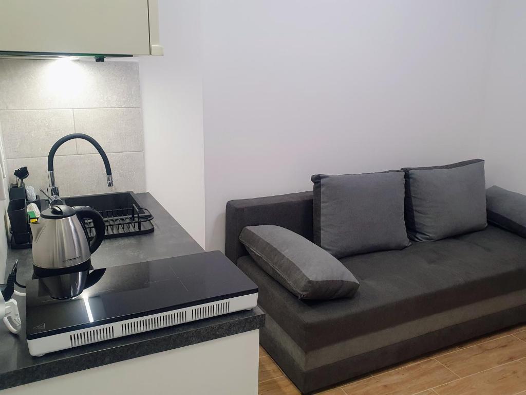 Apartamenty u Portera w Śródmieściu - 8