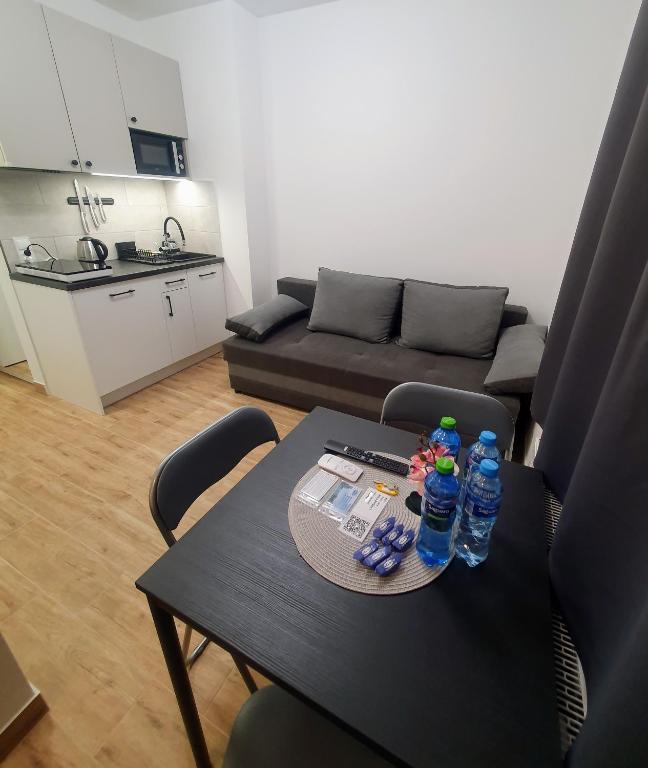 Apartamenty u Portera w Śródmieściu - 1