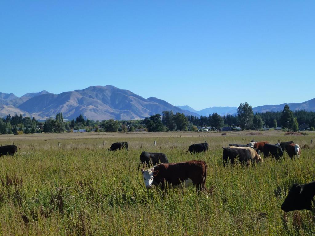 Hanmer Springs Scenic Views Motel - Resim 43