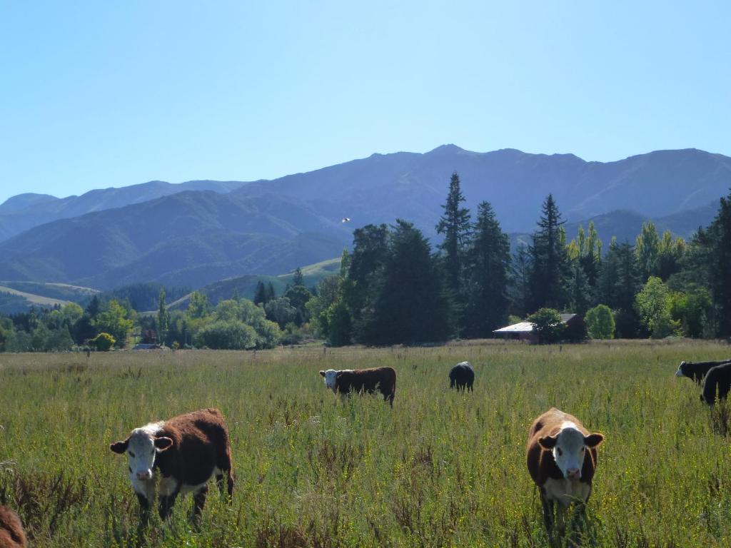 Hanmer Springs Scenic Views Motel - Resim 38