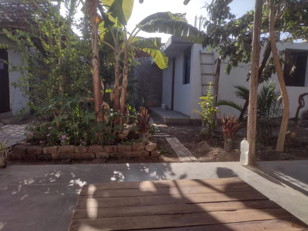 a house with a garden with trees and a sidewalk at 420 Route's Backpackers in Nazca