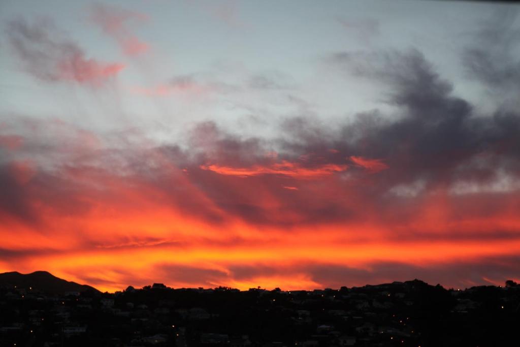 Best Western Wellington - Resim 16