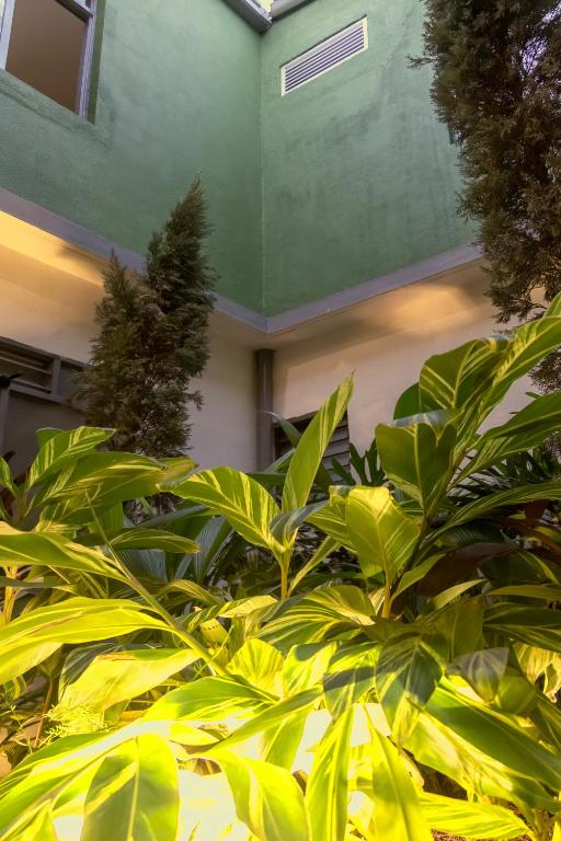 a green building with plants in front of it at Ventiuna Hotel y Coliving in Pereira