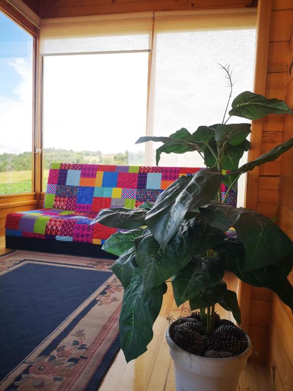 Posezení v ubytování Cabaña con vista a la laguna de Tota
