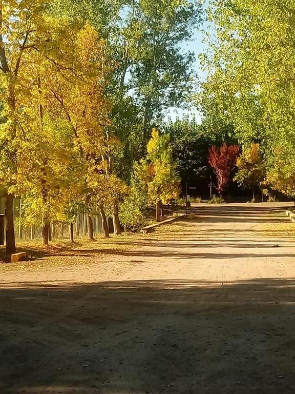 Zahrada ubytování Cabañas Pequeño Paraíso