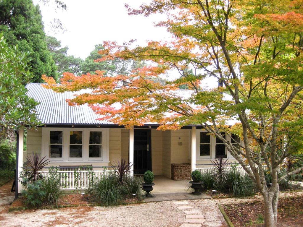 a small yellow house with a tree in front of it at Leura Country Cottage in Leura