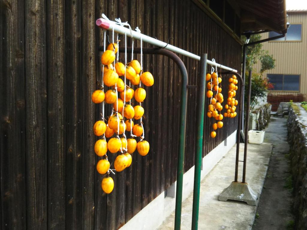 Fotografie z fotogalerie ubytování 農園民宿 春名 Farmstay Haruna v destinaci Taka