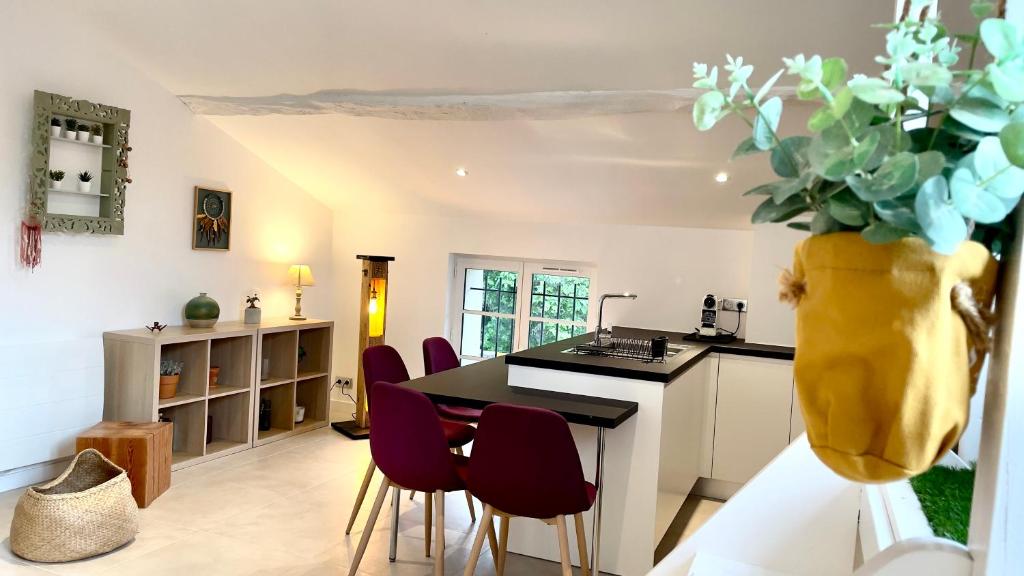 a kitchen with a table and some purple chairs at DUPLEX - VALBONNE VILLAGE in Valbonne