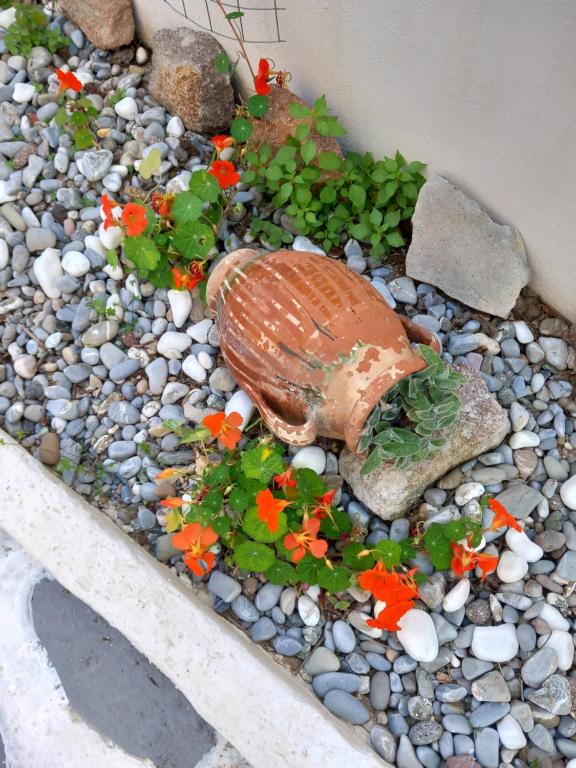 Fotografie z fotogalerie ubytování studio in garden v destinaci Poros