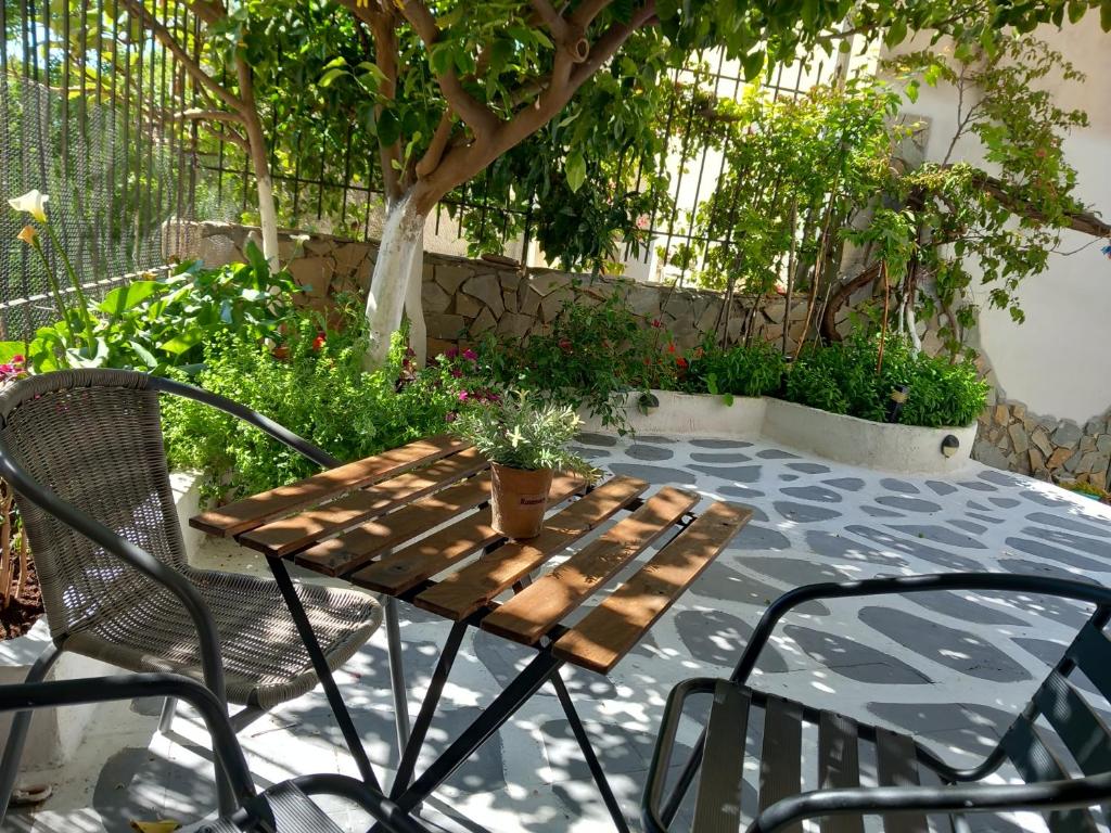 Zahrada ubytování studio in garden