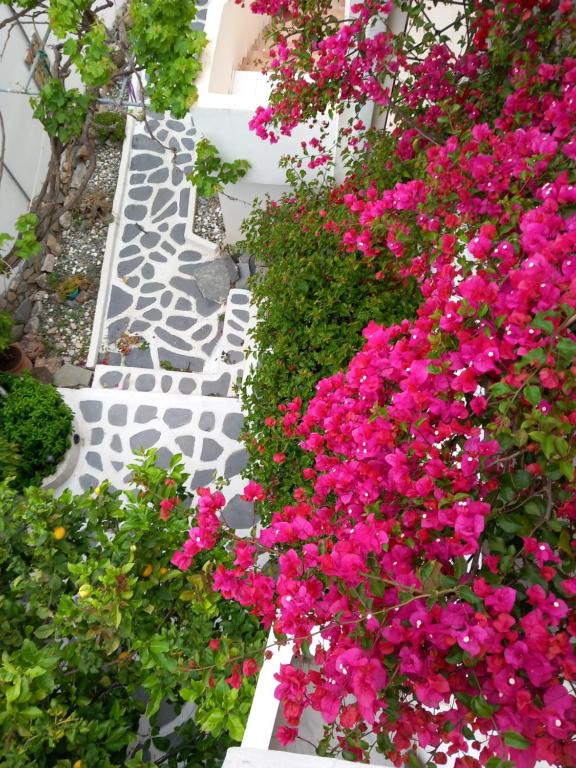 apartment in poros - One-Bedroom Apartment