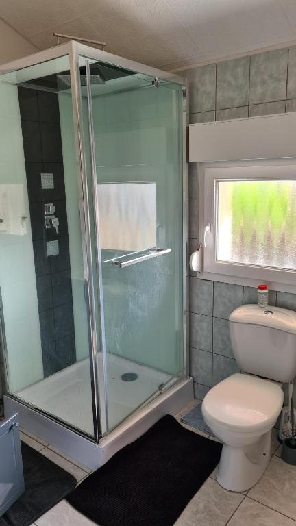 a bathroom with a shower and a toilet at Maison au calme in Sainte-Marguerite