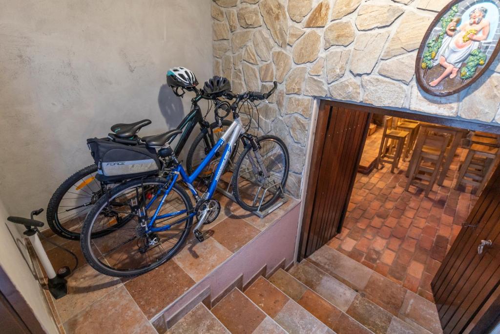 Jízda na kole v ubytování Hill Cottage Haloze nebo okolí