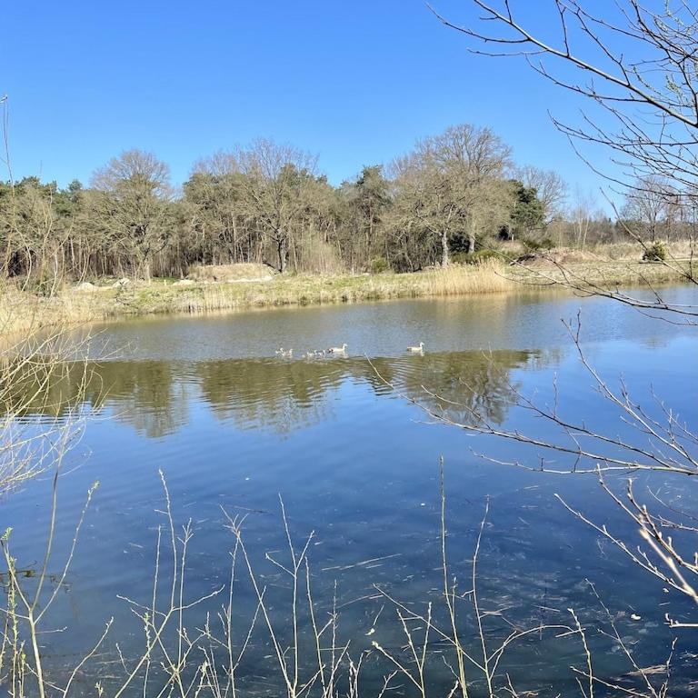 Natuurlandschap vlak bij de villa