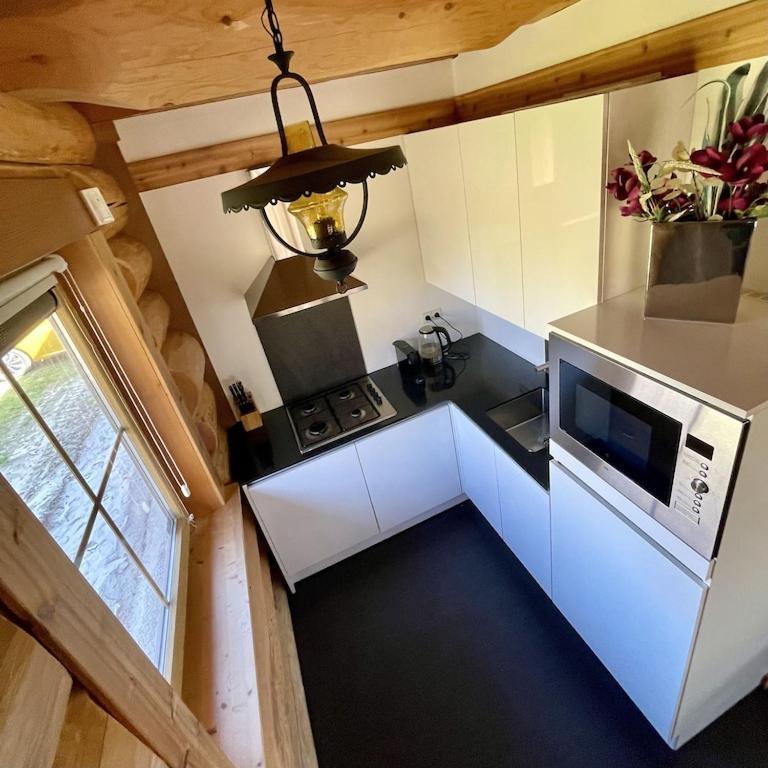 Een keuken of kitchenette bij Unieke houten villa met SAUNA in Twente - 5p