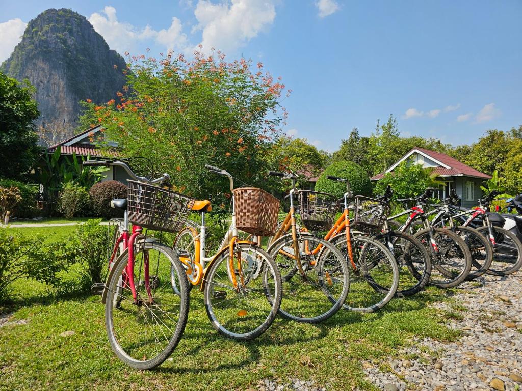 Bearlinbungalow, Vang Vieng – Updated 2024 Prices