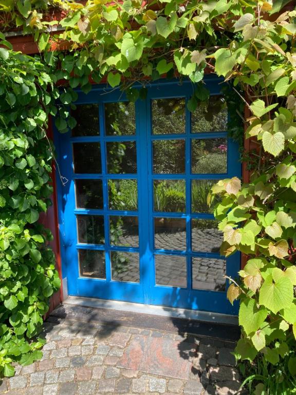 una porta aperta blu con edera che cresce intorno di Schwalbennest a Uetersen