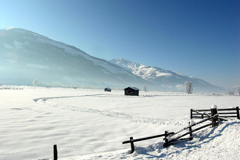 Fotografia z galérie ubytovania Almliesl ZELL-411 v destinácii Zell am See