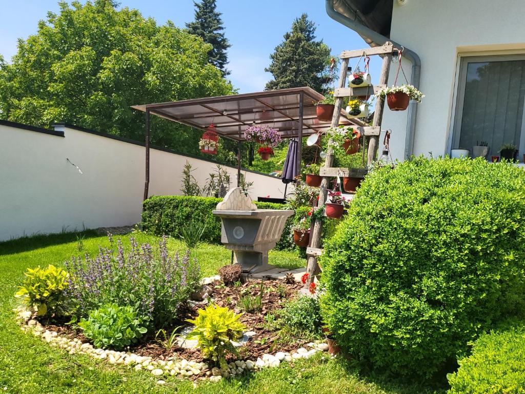 Zahrada ubytování Vila Jovana