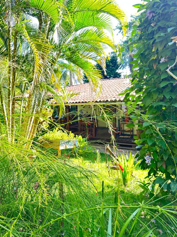 uma casa no meio de um jardim com palmeiras em Pousada Horizonte Azul na Ilha de Boipeba