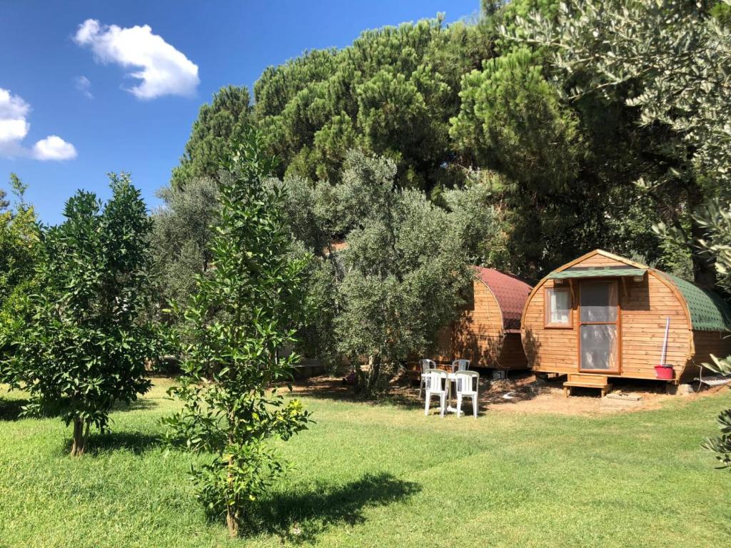 a cabin in the middle of a field with trees at Pera Garden Airport Hotel in Arnavutköy