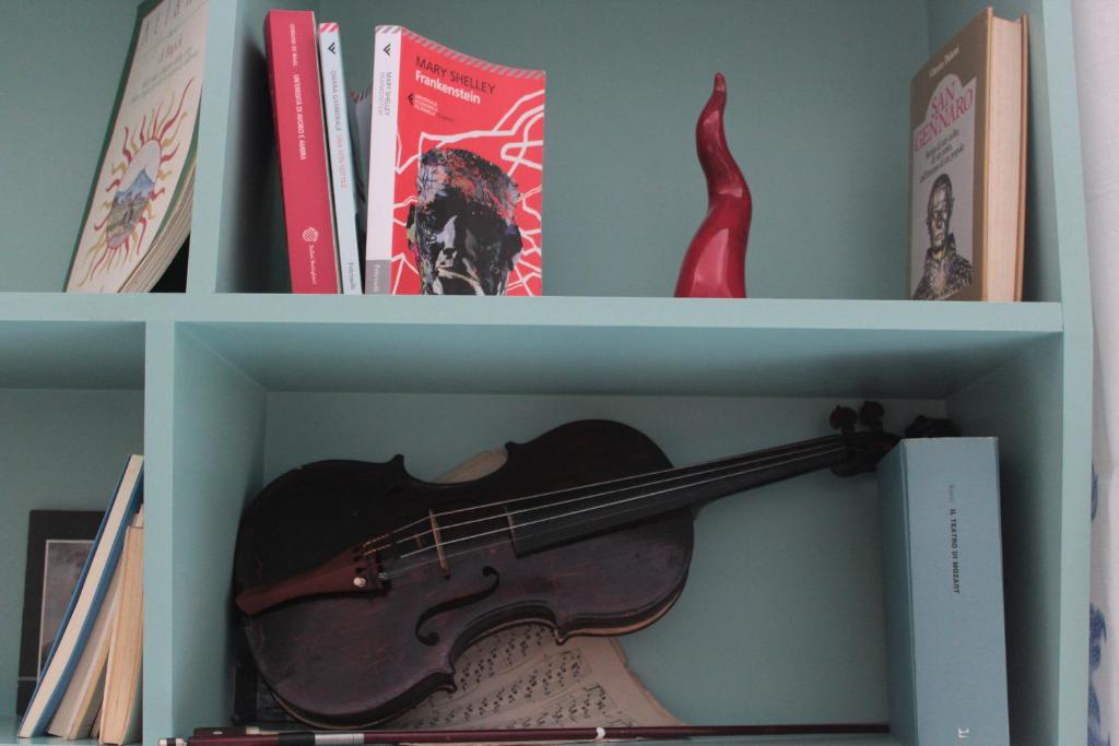 a book shelf with a violin and books at Casa Del Monte in Naples