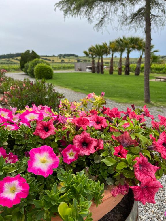 un ramo de flores rosas en una maceta de flores en Agriturismo Santa Lucia, en Fonteblanda