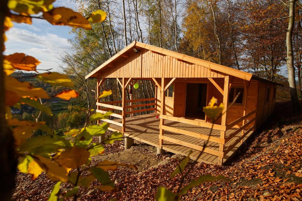 una pequeña cabaña de madera en medio de un bosque en Domki Na Winnicy - Winnica Talaska 