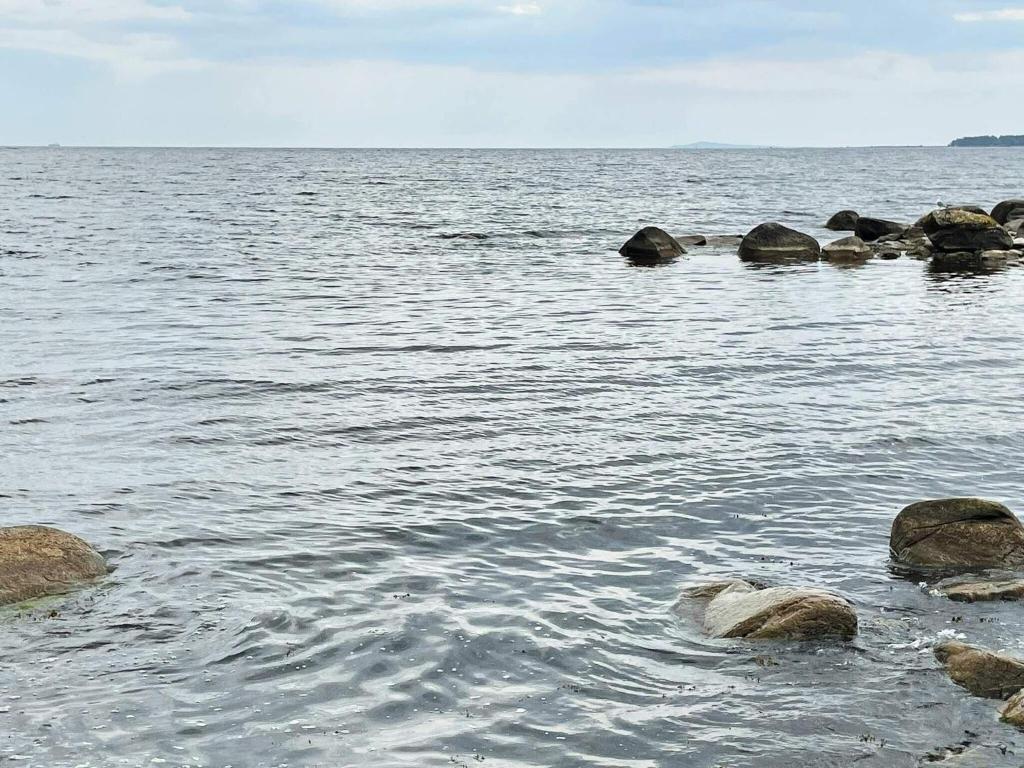 Příroda nedaleko prázdninového domu