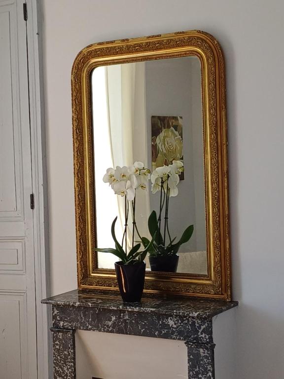 Le Jardin des Lys - Chambre d'hôte ou Appartement - Double Room