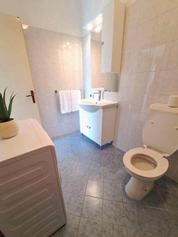 Koupelna v ubytování Apartman Lara