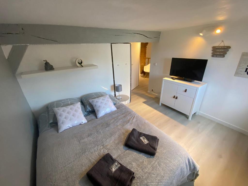 a bedroom with a bed and a flat screen tv at Le Petit Chez Nous - Cœur de village historique classé - Fibre Wi fi in Montieramey
