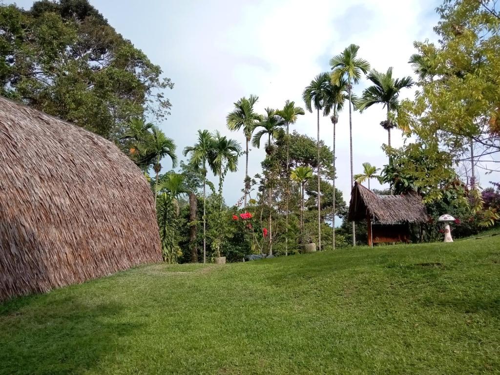 Zahrada ubytování Orangutan Bungalow