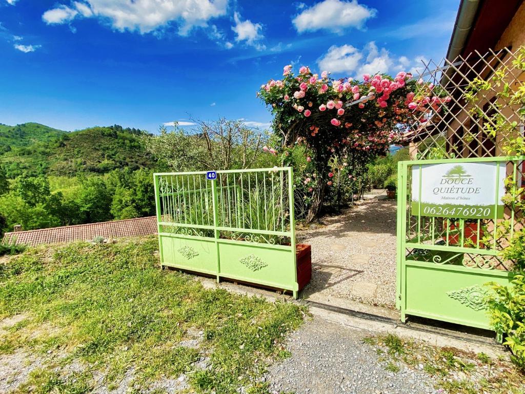 Příroda nedaleko bed and breakfast