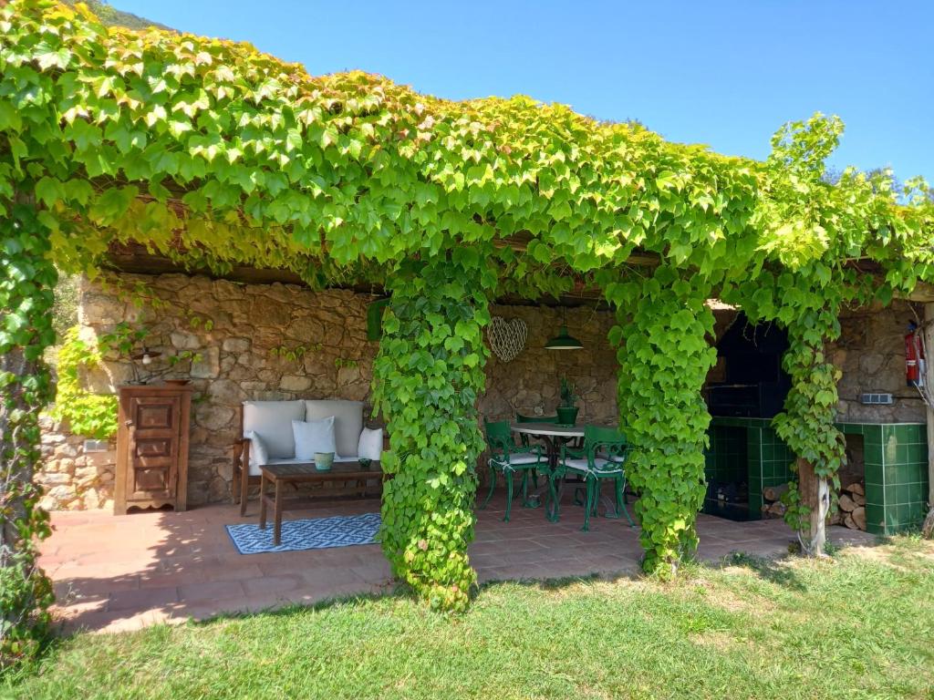 une pergola couverte de lierre vert sur une terrasse dans l'établissement Els Masos de Caula, à Gérone