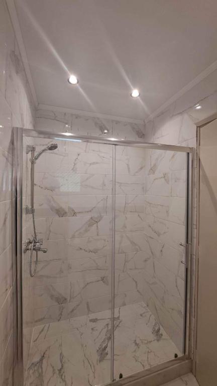 a shower with a glass door in a bathroom at Gregory's Village in Platy