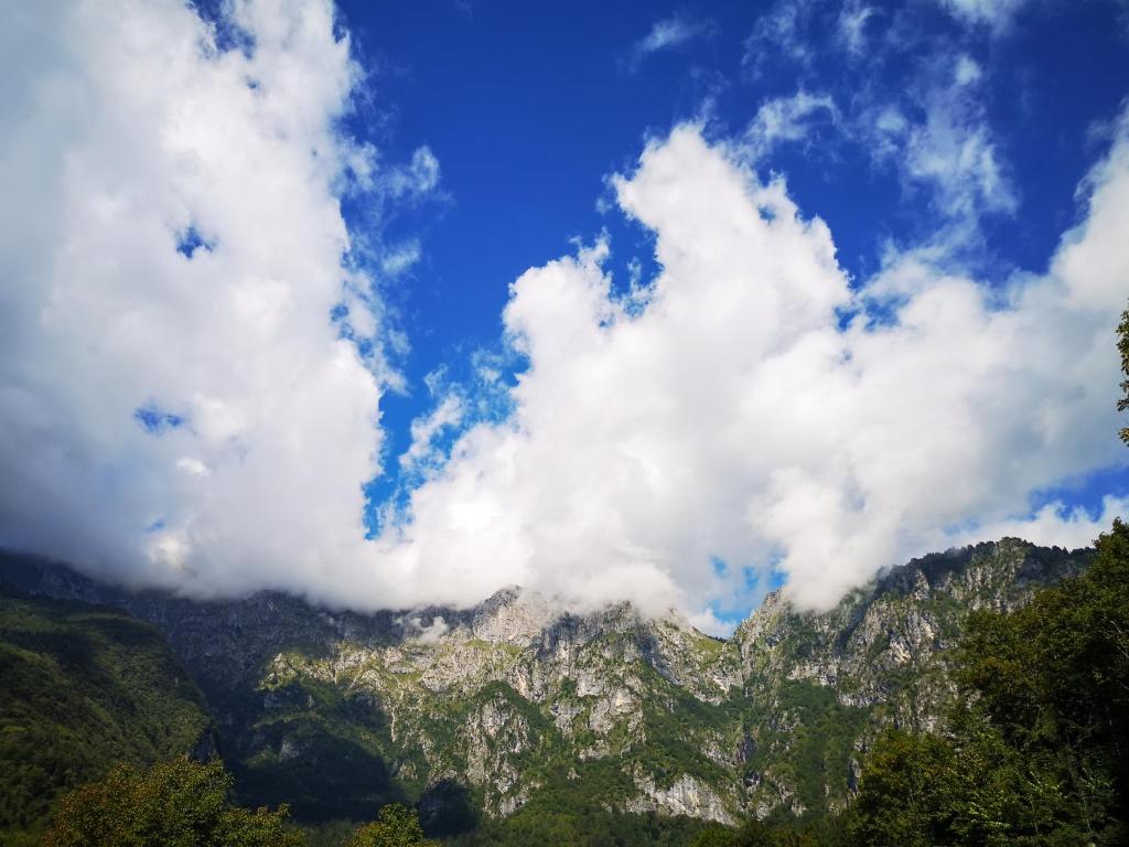 Príroda v okolí apartmánu