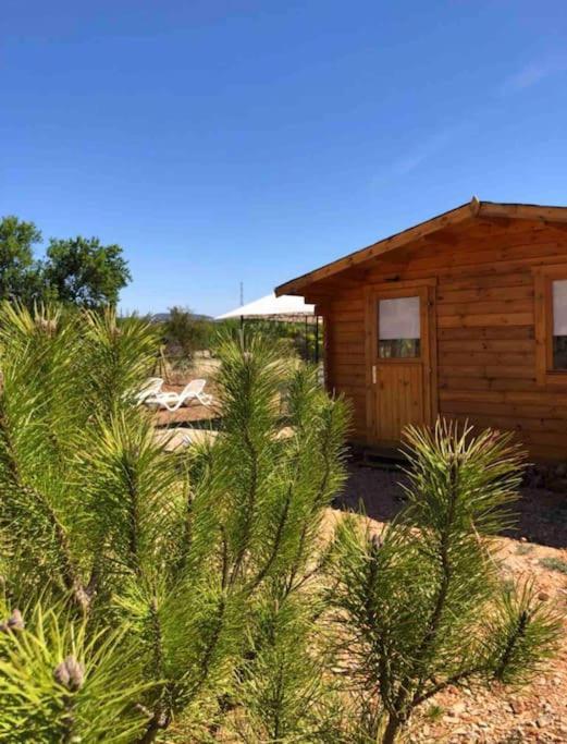 a small wooden cabin with trees in front of it at Quinta chalet in Alcantarilha