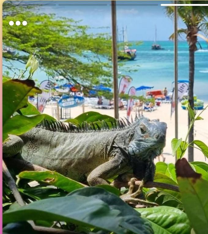Příroda nedaleko hostelu