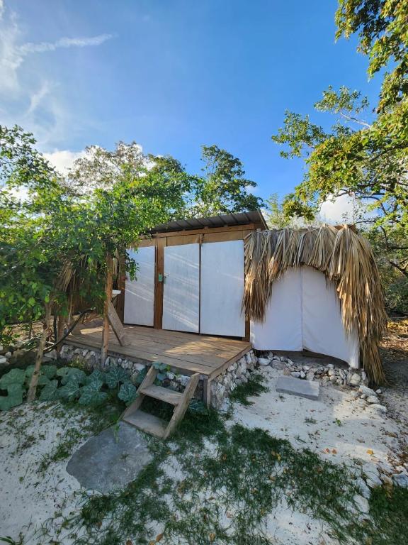 Zahrada ubytování Saona lodge