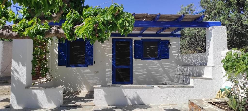 ein weißes Haus mit blauen Fenstern und einer Treppe in der Unterkunft Chrysa's cottage house in Karystos