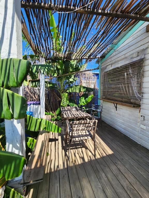 Fotografie z fotogalerie ubytování Saona lodge v destinaci Mano Juan