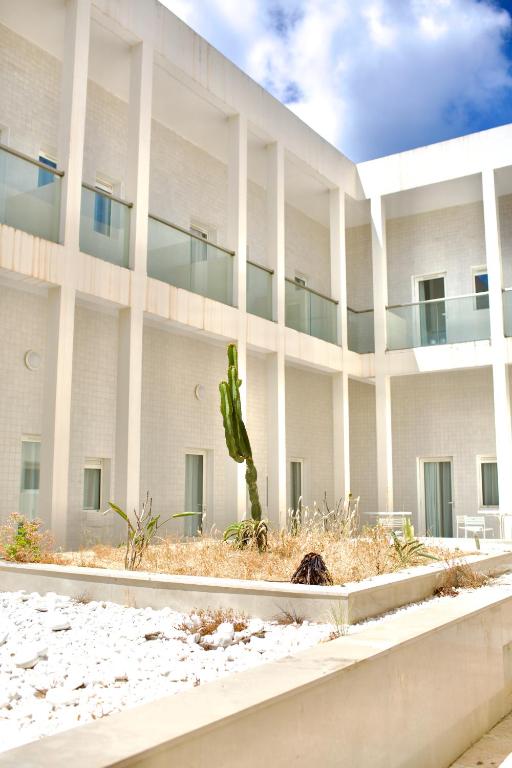 a white building with a cactus in front of it at ONOMO Hotel Tanger Med in Tangier