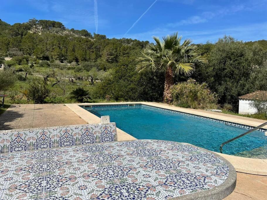Het zwembad bij of vlak bij S'Arracó, el secreto de Andratx